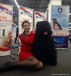 Adam Racy Style BERENIS